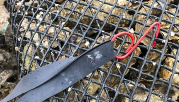 Élastique Caoutchouc en Tunisie