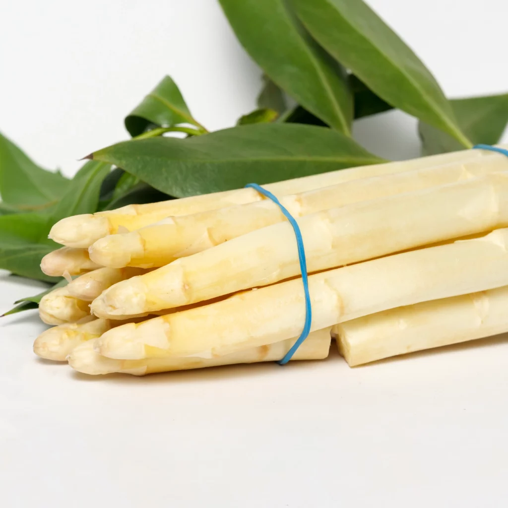 élastique agricole Tunisie fixation bottes légumes contact alimentaire