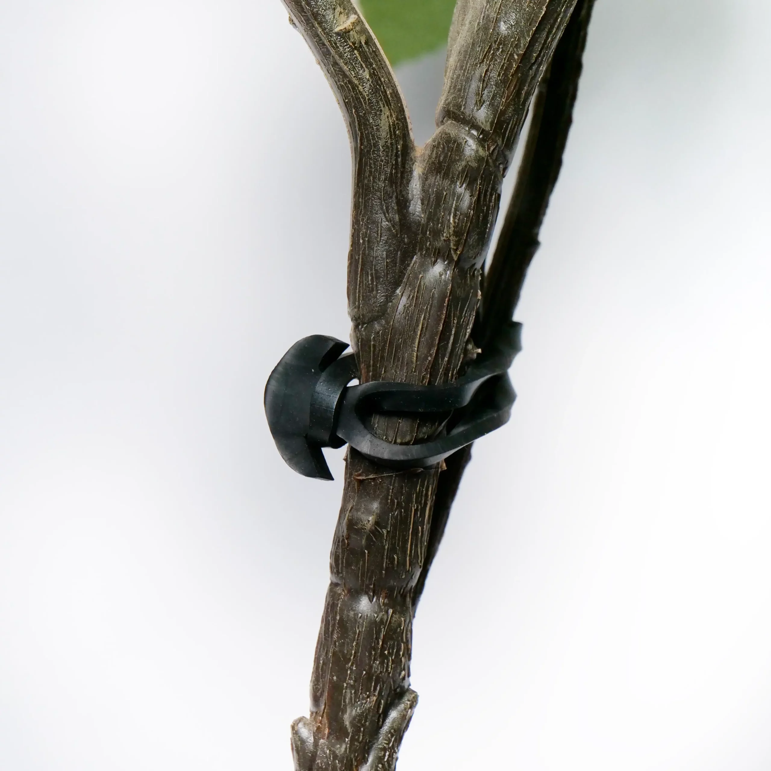 Élastique Caoutchouc en Tunisie
